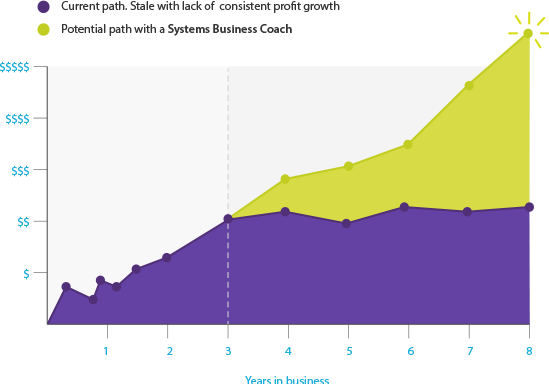 Potential Business Growth with a Systems Business Coach