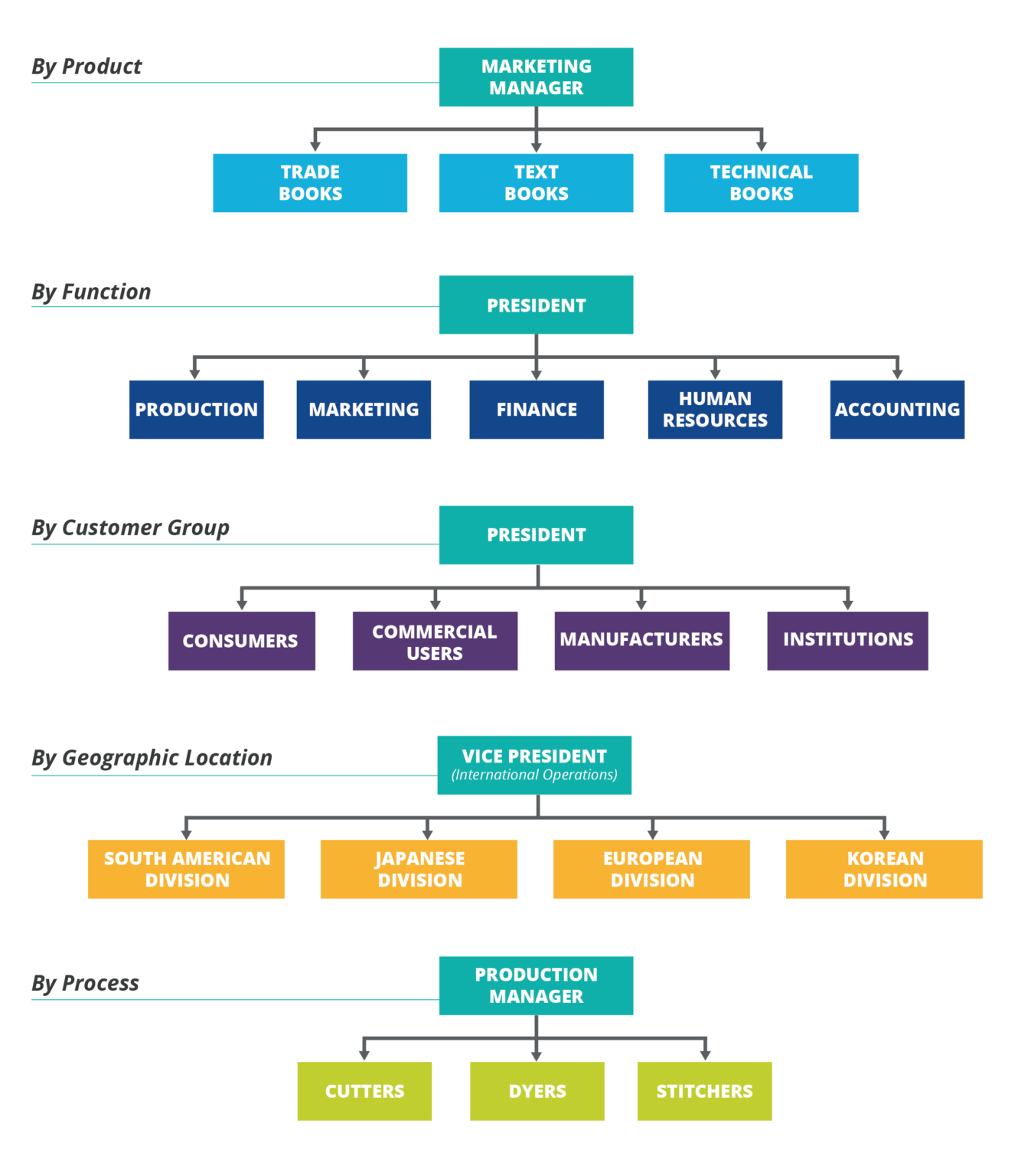 A Simple Guide to Organizational Charts for Small Business Owners