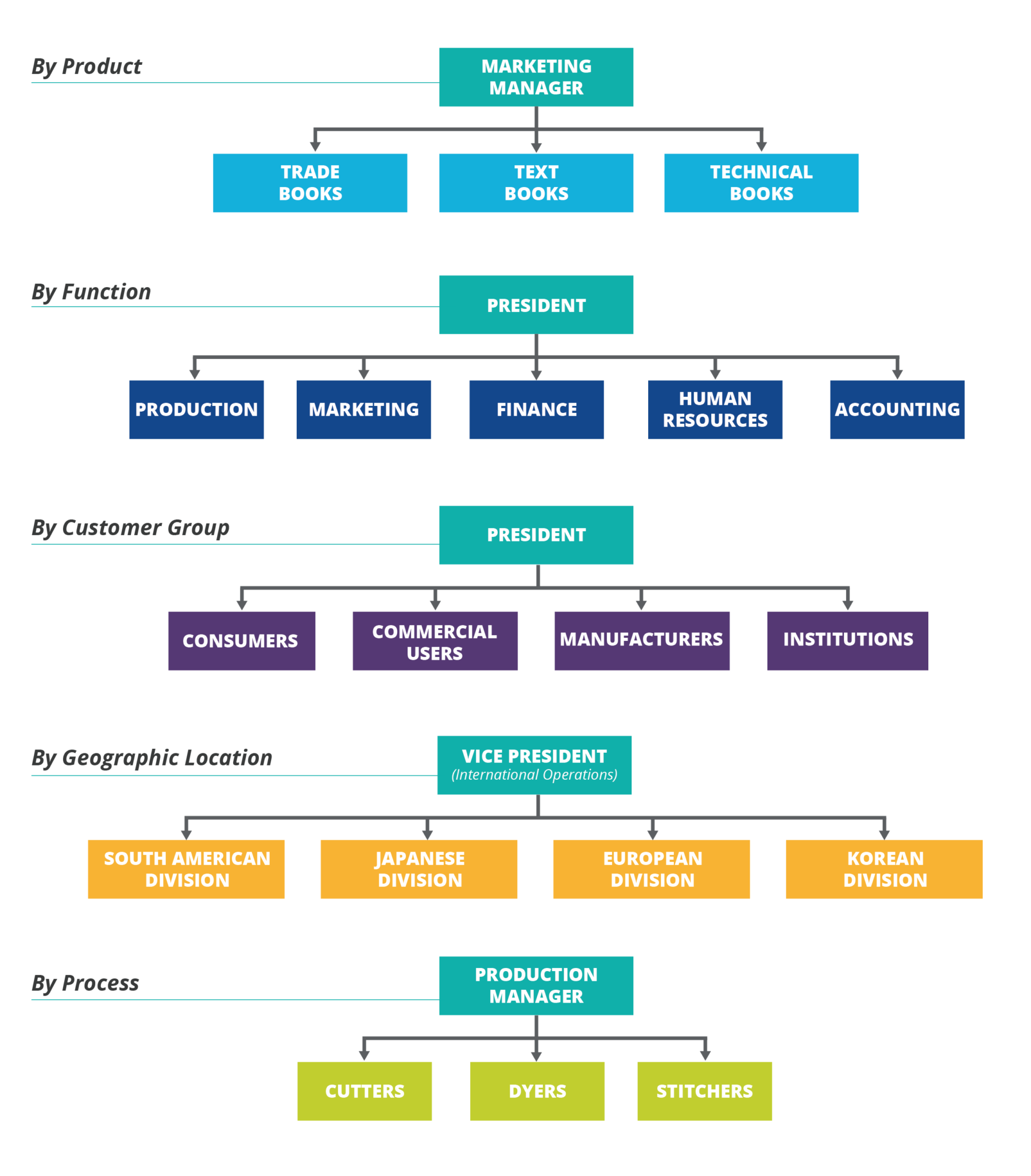 organizational structure example business plan